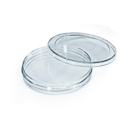 Petri Dish, Glass